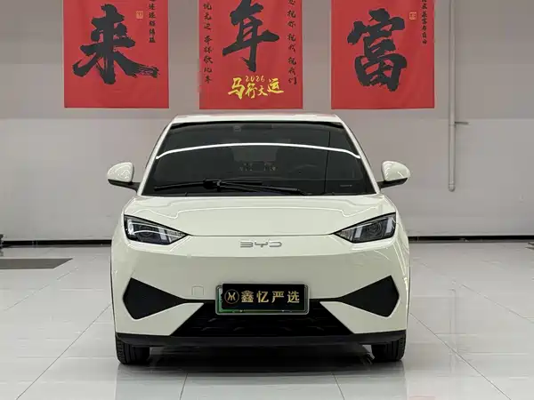 BYD Seagull 2025
