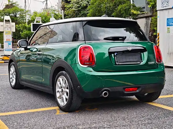 MINI MINI 2020