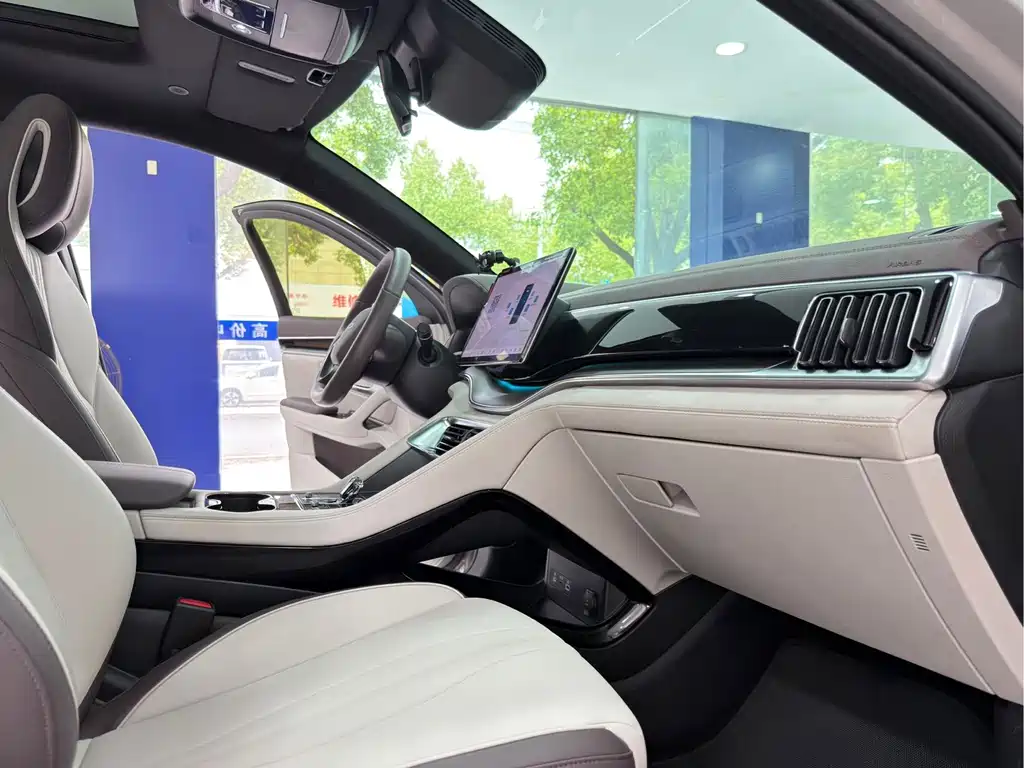 BYD Song PLUS New Energy 2025 — фото 12