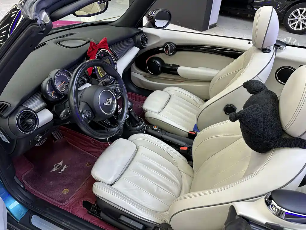 MINI MINI 2016