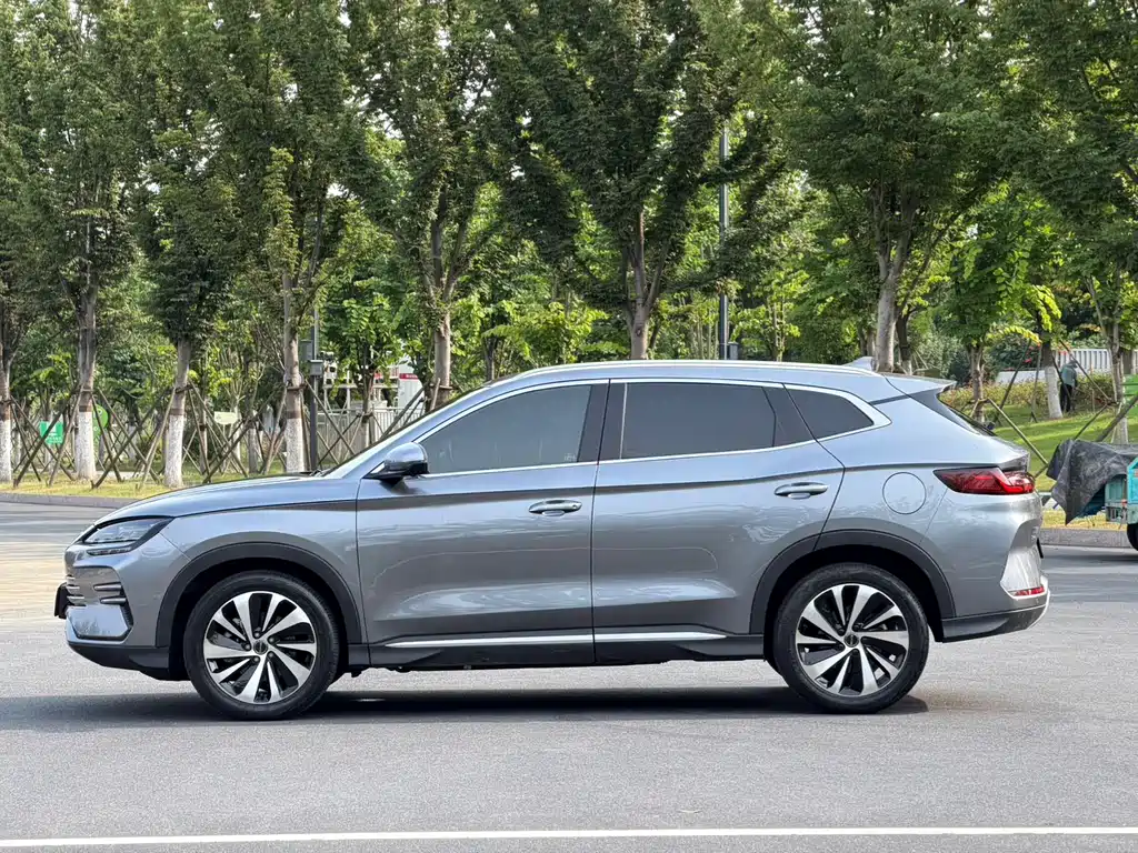 BYD PLUS New Energy 2024 — фото 14