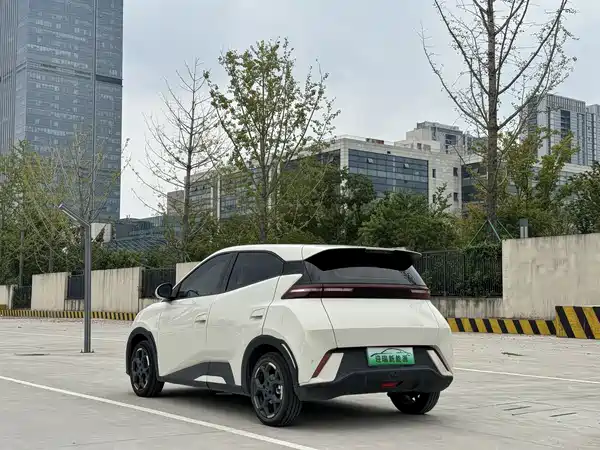 BYD Seagull 2024