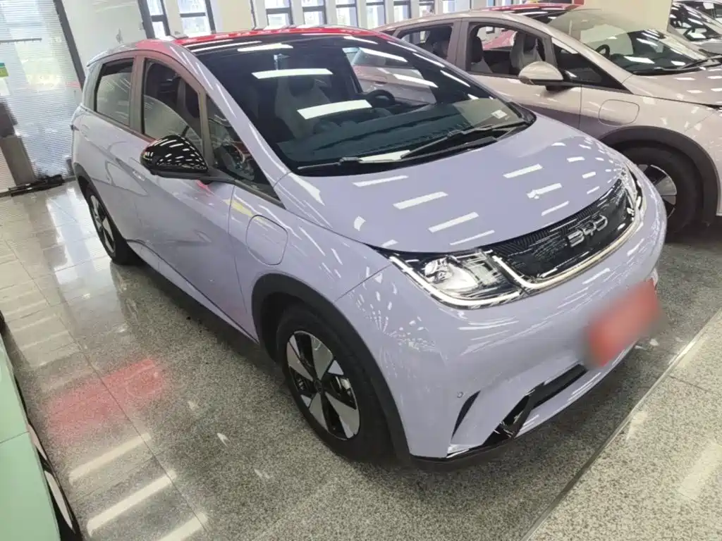 BYD Dolphin 2024