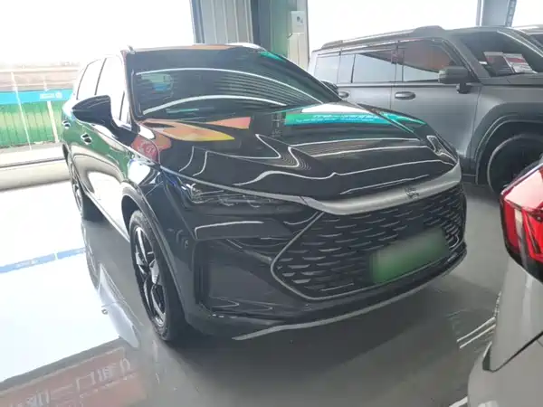 BYD Tang New Energy 2024