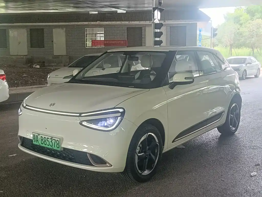 Dongfeng Nano 01 2025