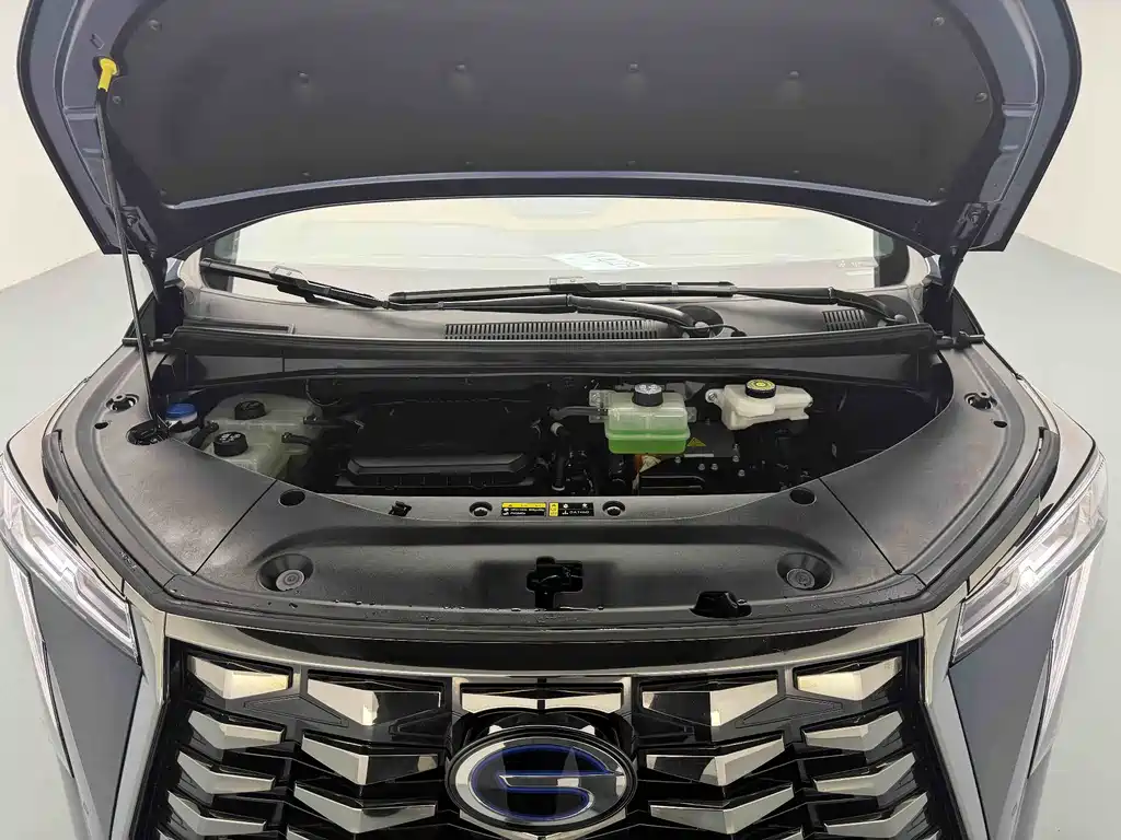 GAC Motor Xiangwang M8 2025 — фото 25