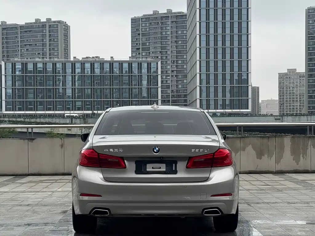 BMW 5 Series 2017 — фото 17