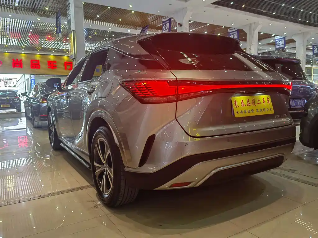 Lexus RX 2023 — фото 14