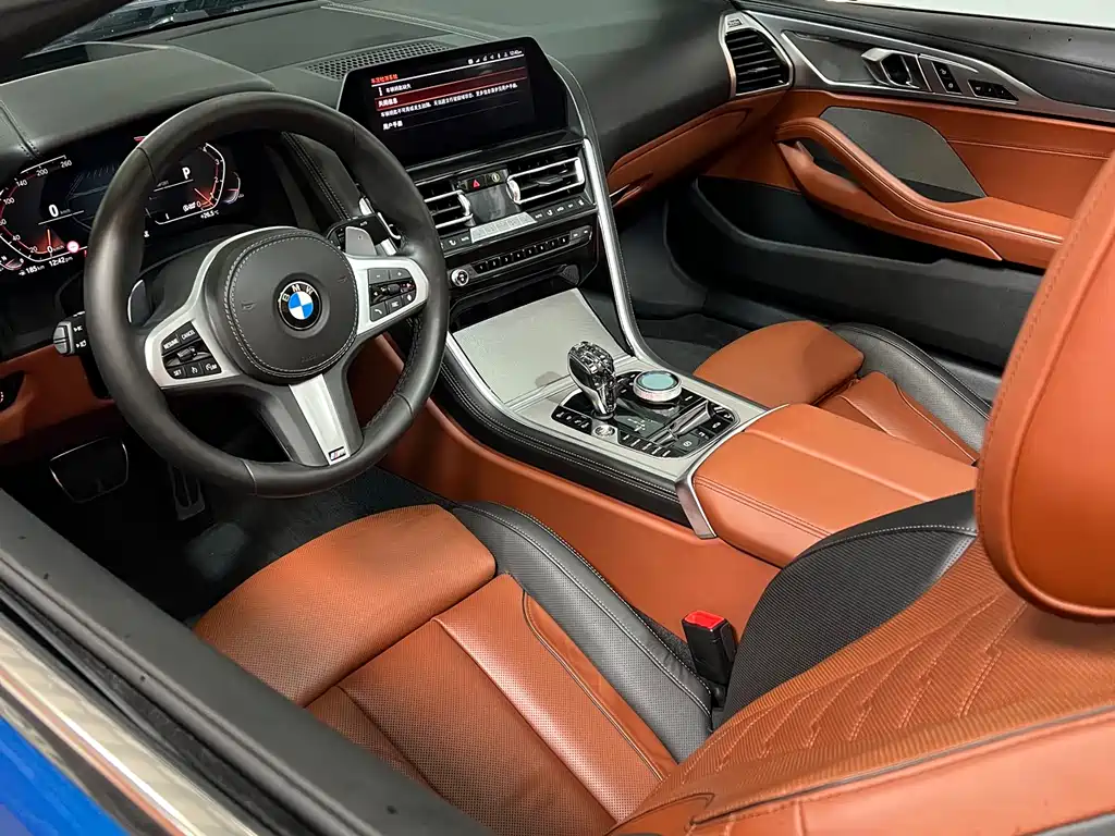 BMW 8 Series 2019 — фото 9