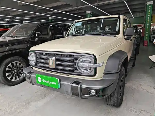 Tank 300 New Energy 2025