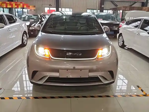 BYD Dolphin 2022