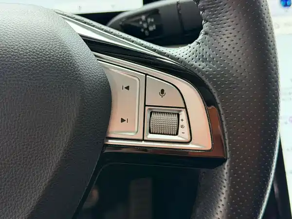 XPeng P5 2021