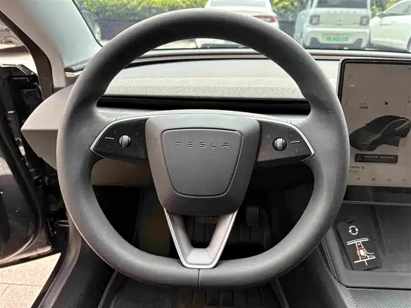 Tesla Model 3 2025