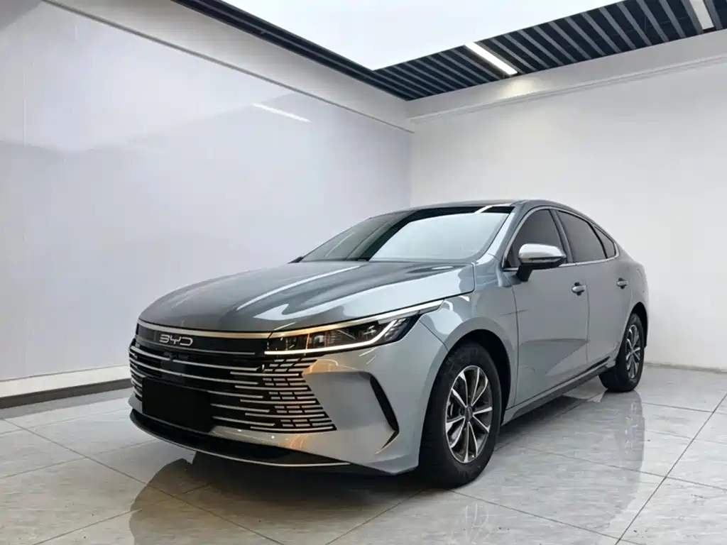 BYD Destroyer 05 2024 — фото 1
