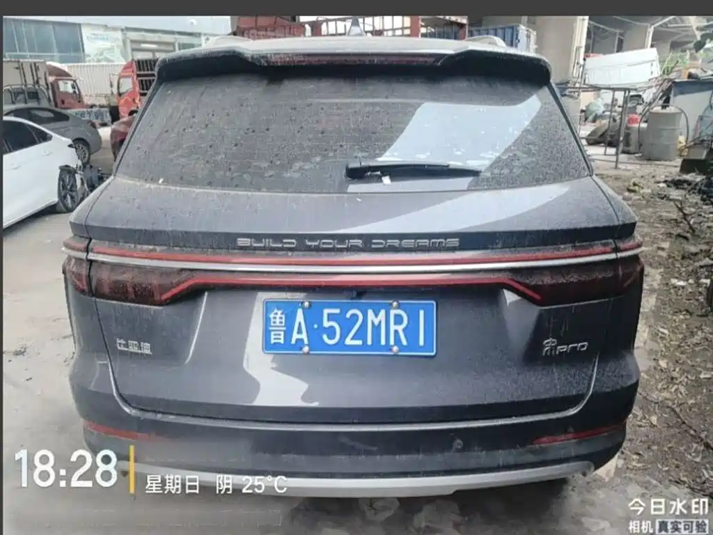 BYD Pro 2021 — фото 12