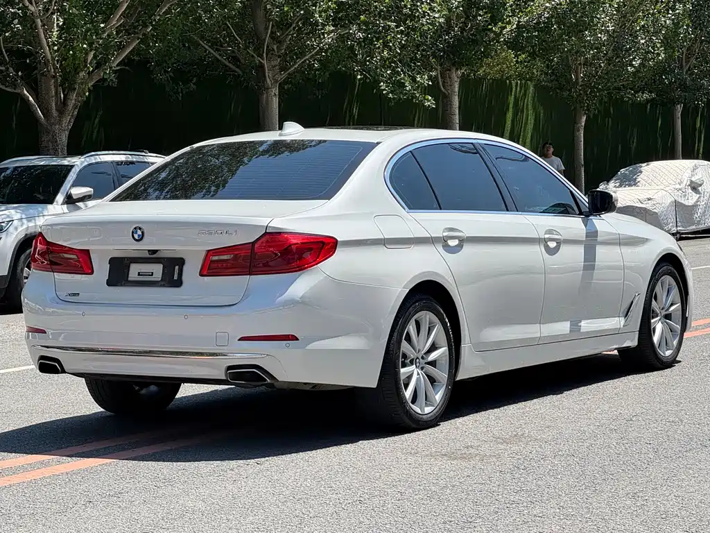 BMW 5 Series 2019 — фото 18
