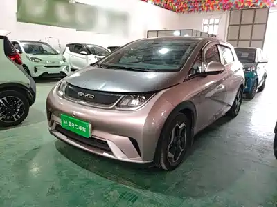 BYD Dolphin 2021