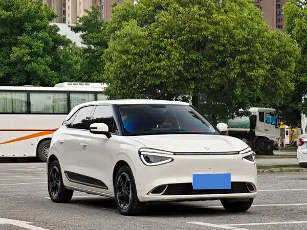 Dongfeng Nano 01 2024