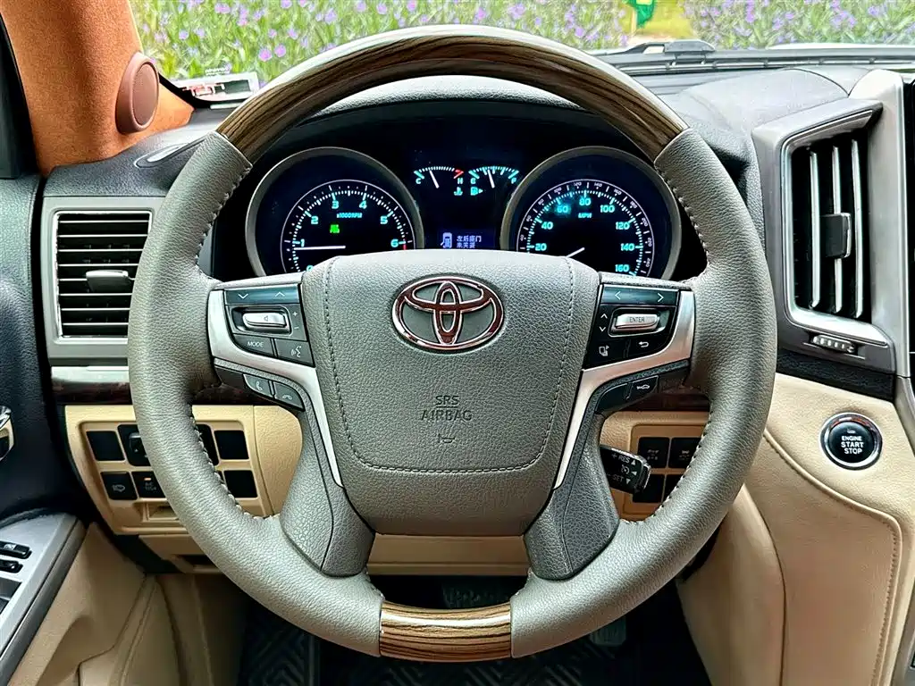 Toyota Land Cruiser 2010 — фото 18