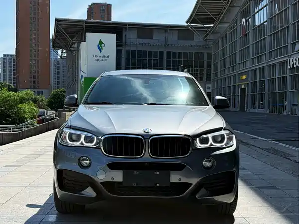 BMW X6 2019