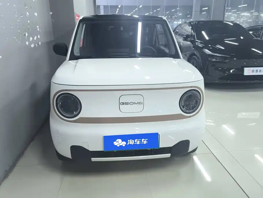 Geely Galaxy Panda 2024