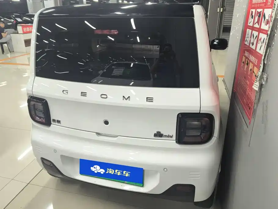 Geely Galaxy Panda 2024