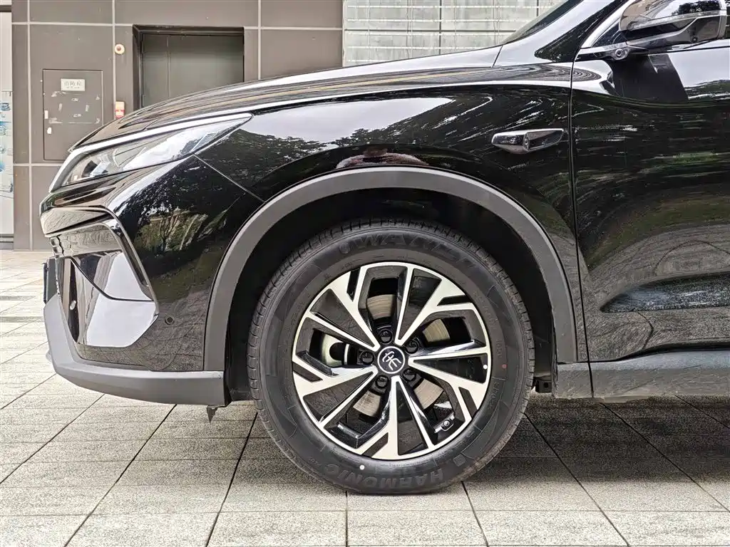 BYD Pro New Energy 2025 — фото 5