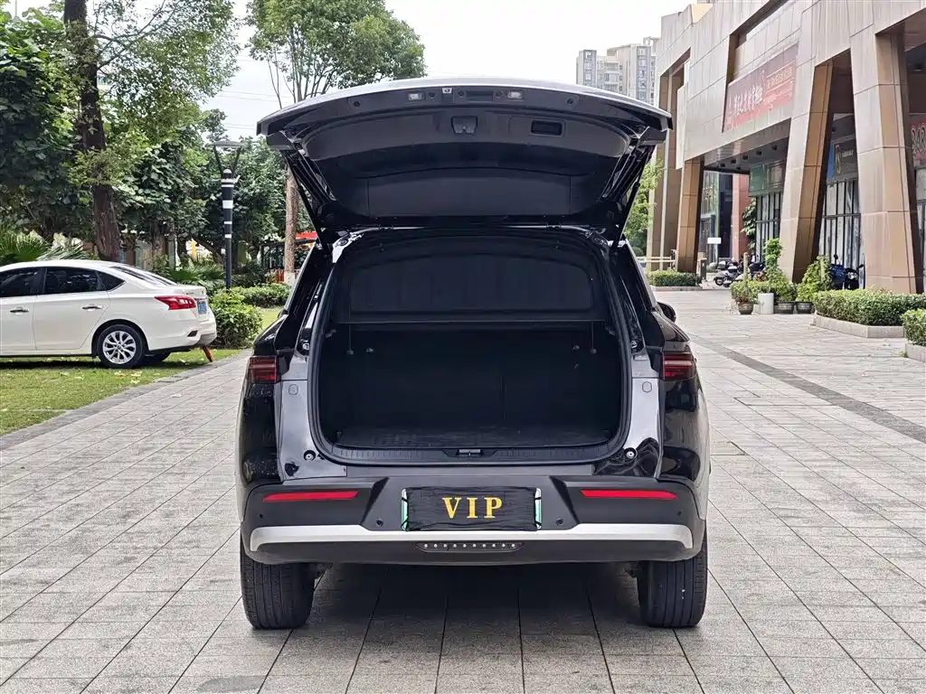 BYD Pro New Energy 2025 — фото 13