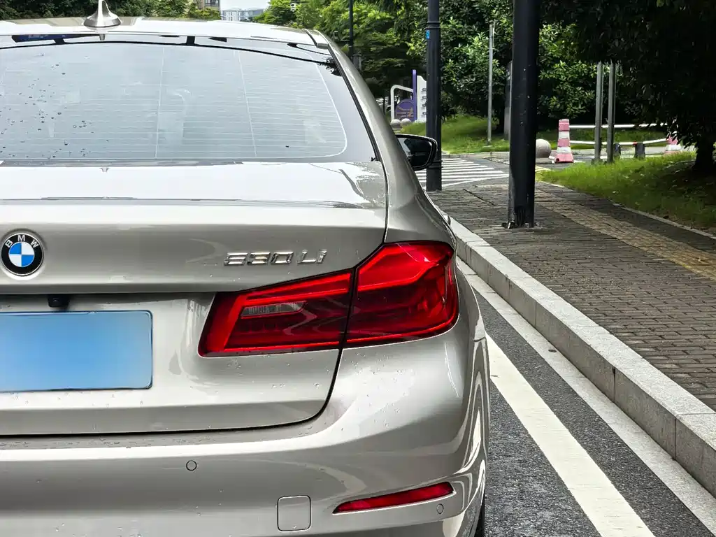 BMW 5 Series 2020 — фото 14