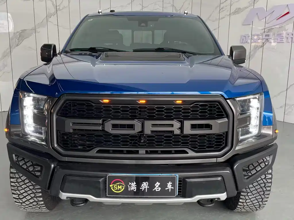Ford F-150 Raptor 2018 — фото 2