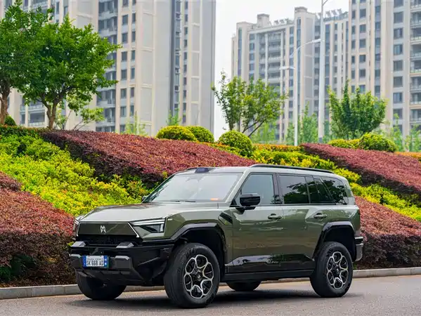 Mengshi M817 2025