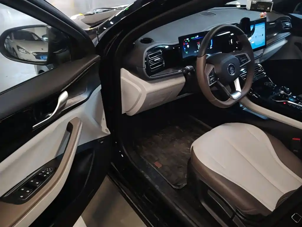 BYD Qin PLUS 2025 — фото 16