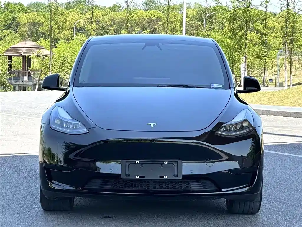 Tesla Model Y 2022 — фото 2