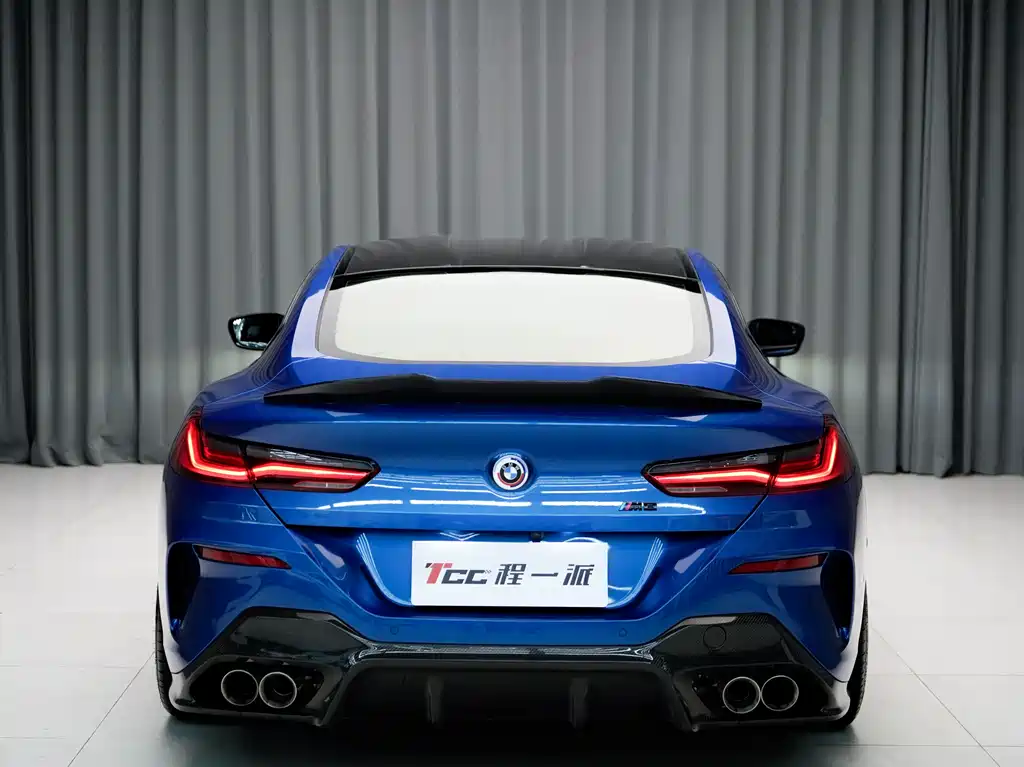 BMW 8 Series 2021 — фото 10