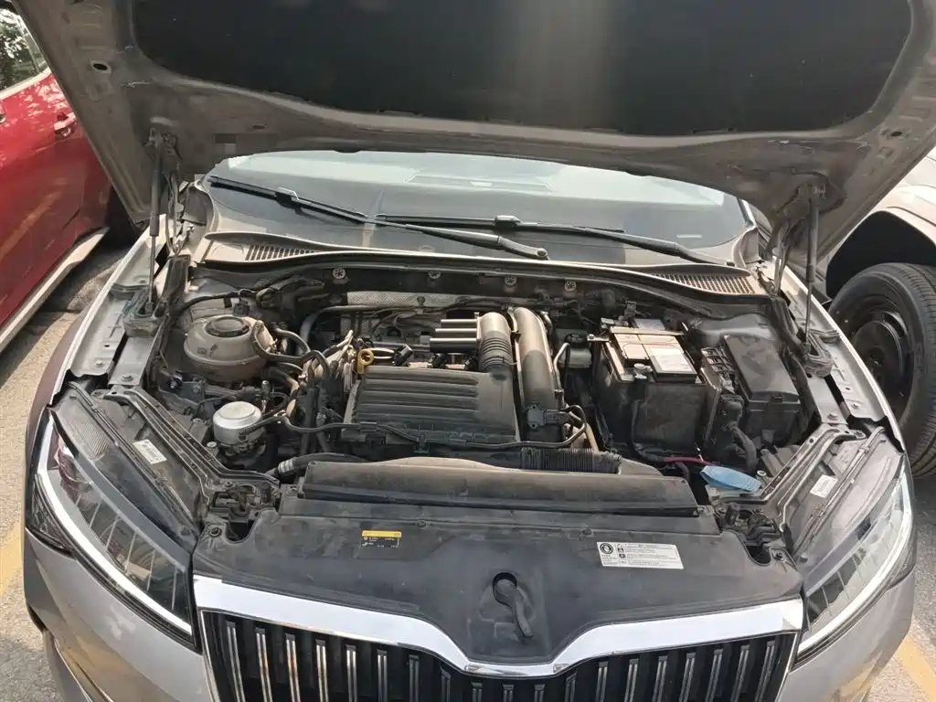 Skoda Speedy 2019 — фото 11