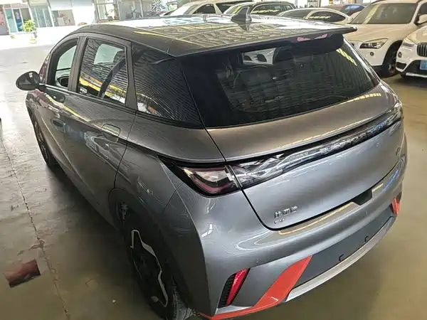 BYD Dolphin 2022