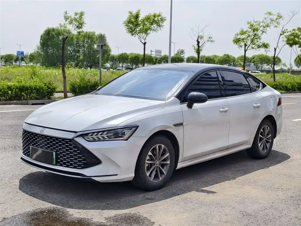 BYD Qin PLUS 2024 — фото 1