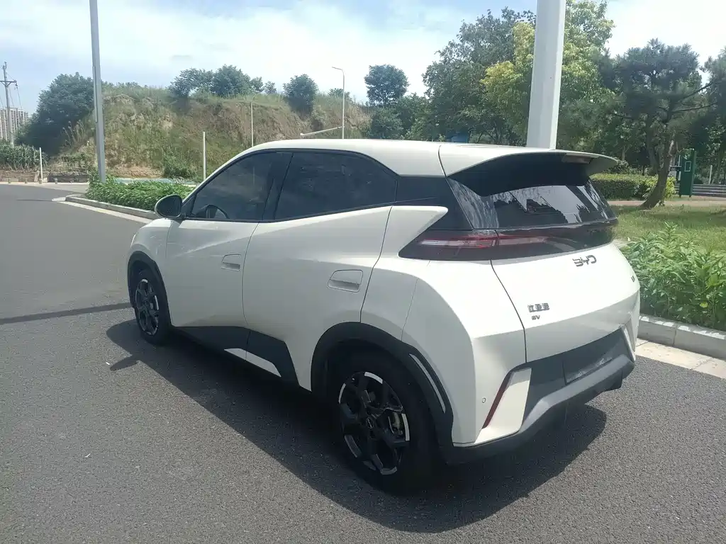 BYD Seagull 2024