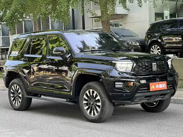 Tank 700 New Energy 2024