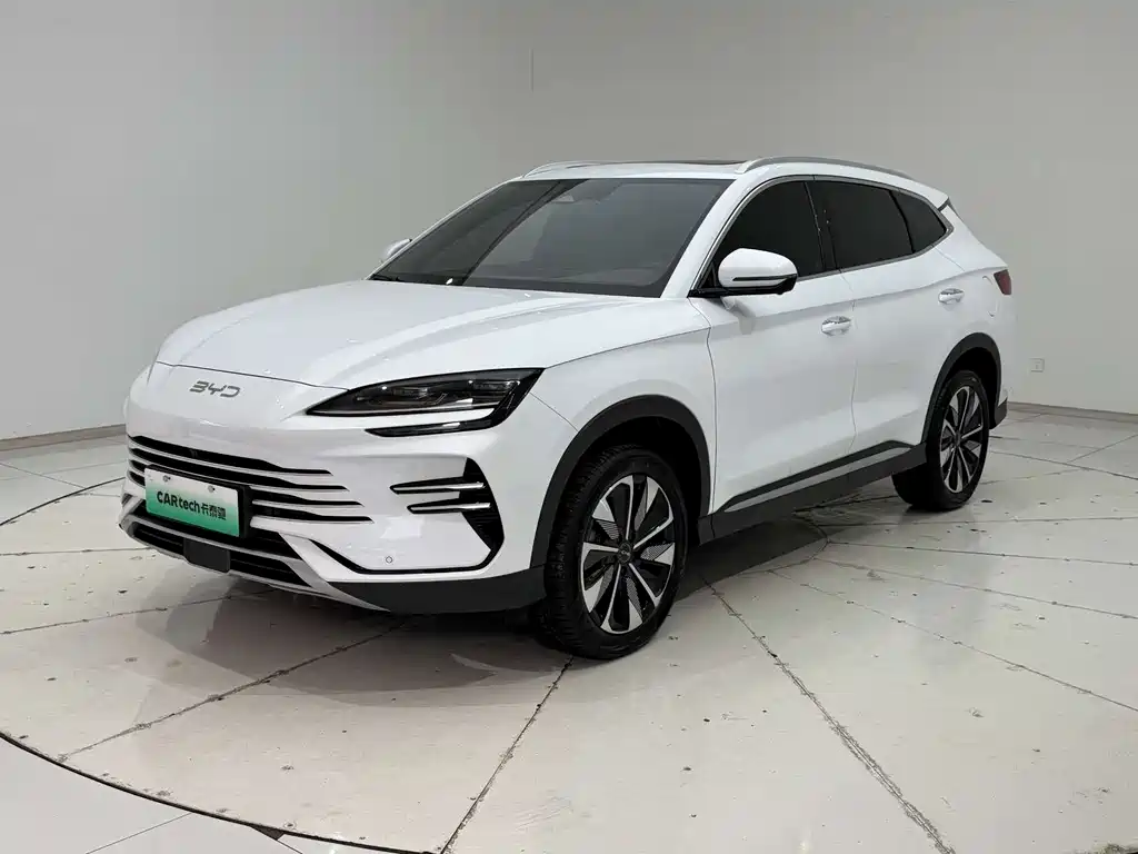 BYD Song PLUS New Energy 2025 — фото 2
