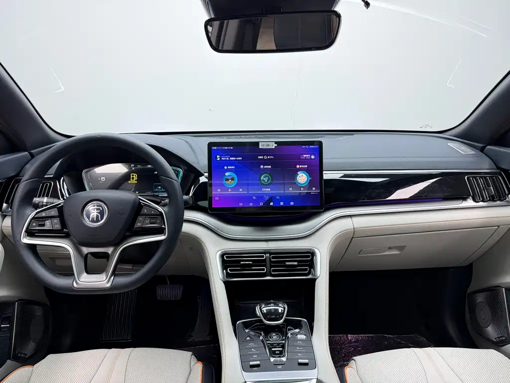 BYD PLUS New Energy 2023 — фото 11