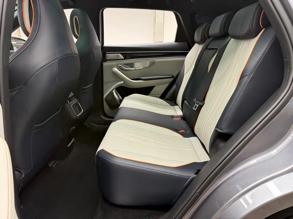 BYD PLUS New Energy 2023 — фото 10