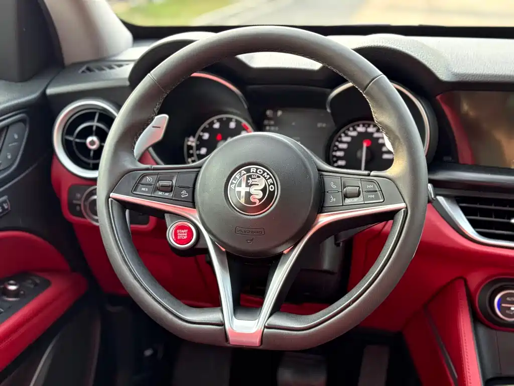 Alfa Romeo Stelvio 2019 — фото 19