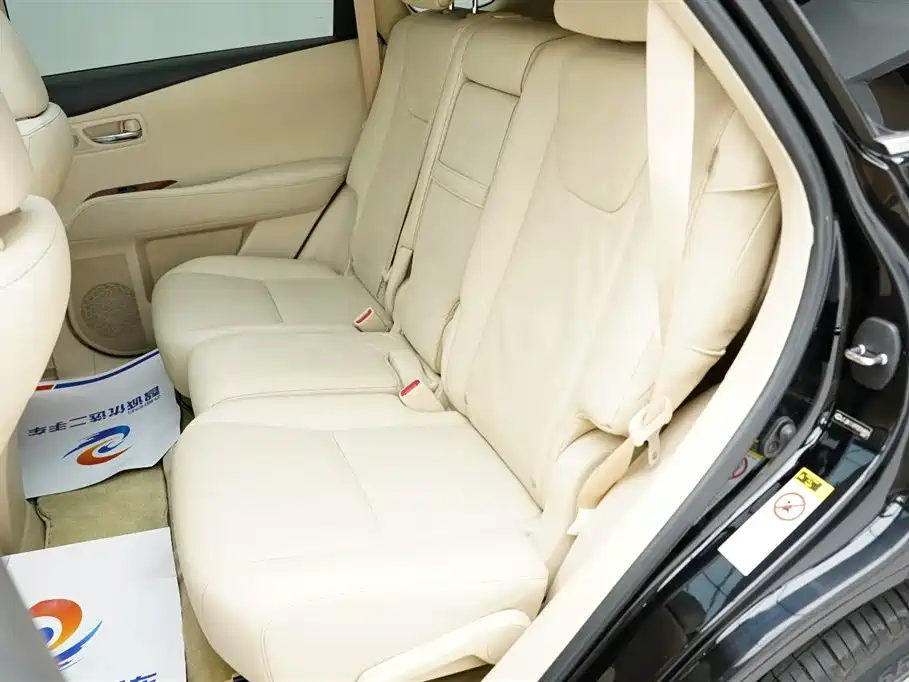 Lexus RX Classic 2009 — фото 21