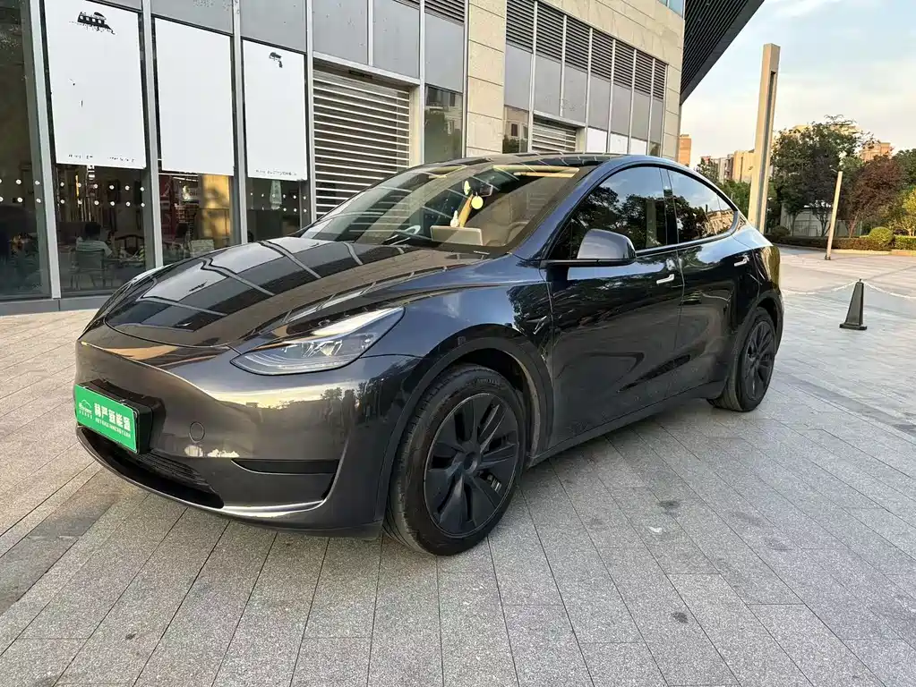 Tesla Model Y 2024 — фото 3