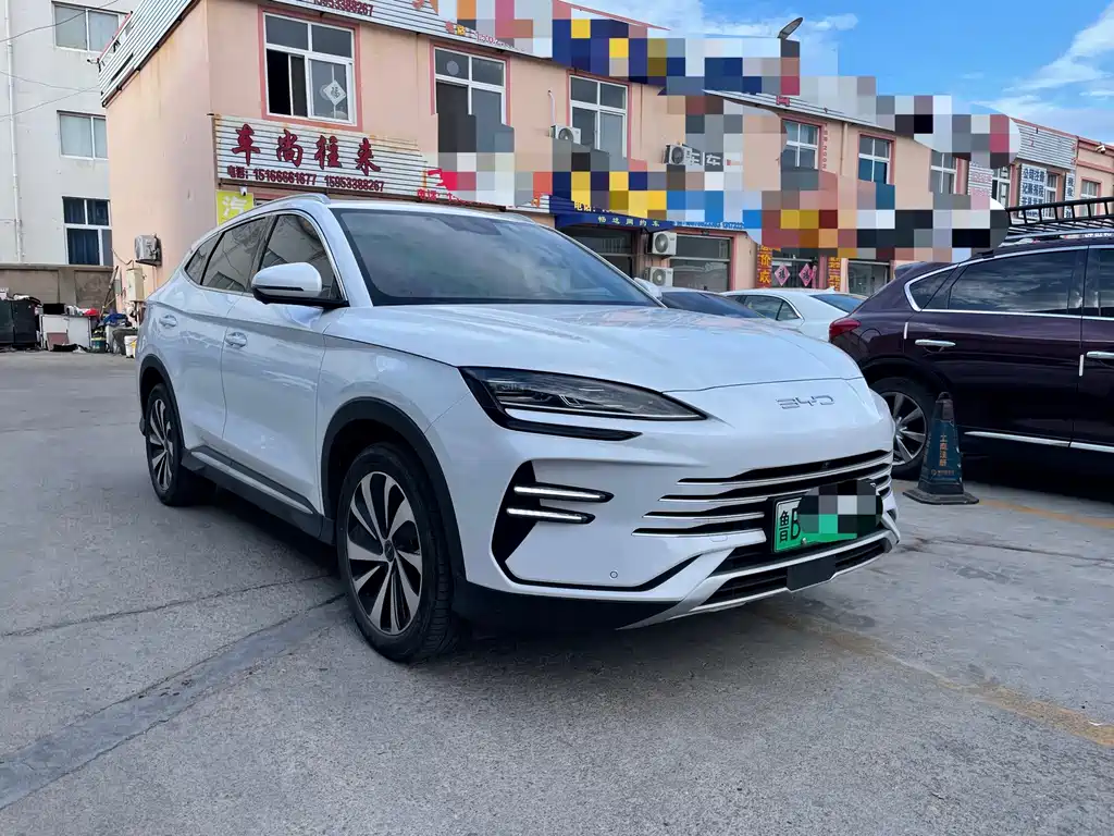 BYD Song PLUS New Energy 2024 — фото 3
