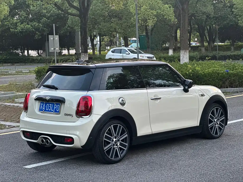MINI MINI 2020