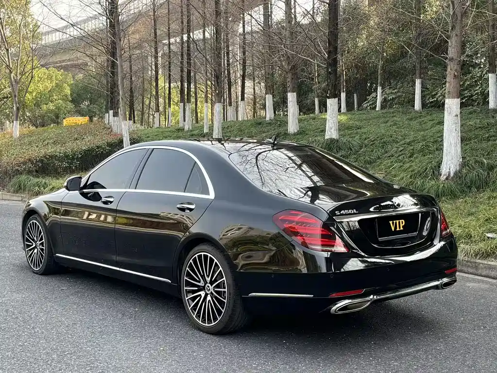 Mercedes-Benz S-Class 2019 — фото 17
