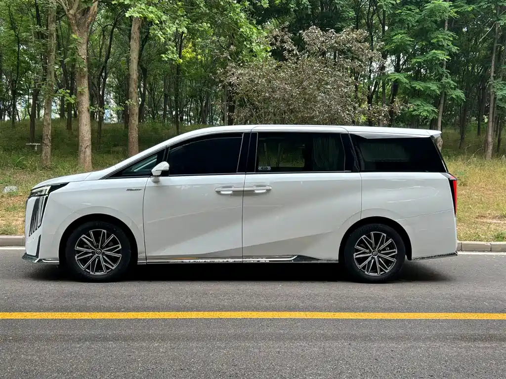 GAC Motor Trumpchi M8 2023 — фото 27