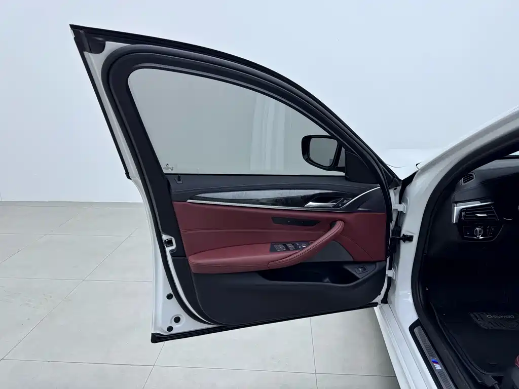 BMW 5 Series 2021